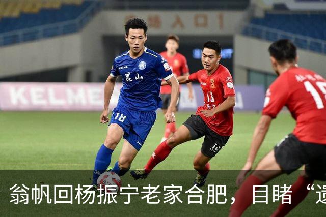 翁帆回杨振宁老家合肥，目睹“遗产”落地，才知亡夫留了一手好牌